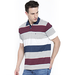 Áo phông có cổ Polo Shirt APLS004